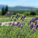 Csillagtenger- Balaton Home With A View