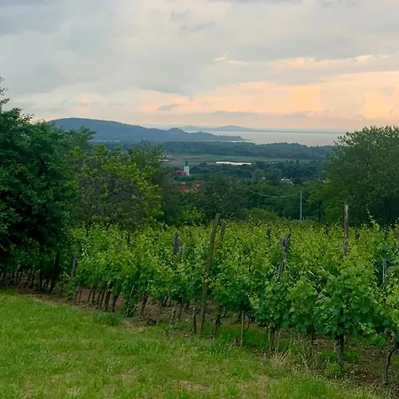 Csillagtenger- Balaton Home With A View * Balatonederics
