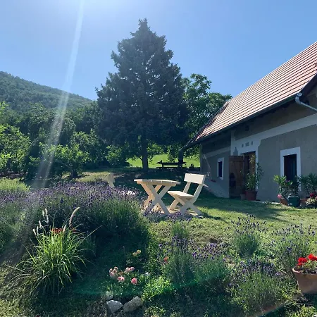 Balaton With A Majestic View Tatil Evi
