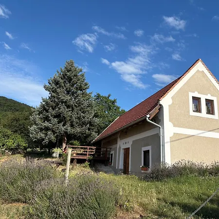 Ferienhaus Csillagtenger- Balaton With A View Balatonederics